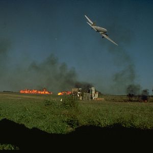 Foto Cães de Guerra