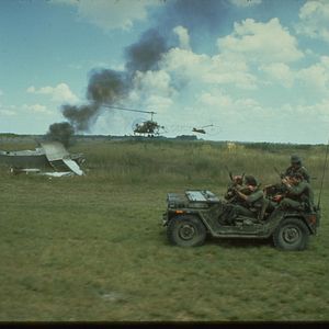 Foto Cães de Guerra