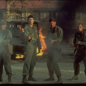 Foto Cães de Guerra