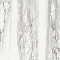 Foto Regenerar: caminhos possíveis em um planeta machucado