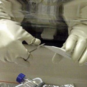 Foto Antraz: EUA Sob Ataque