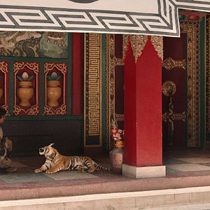 Foto O Menino e o Tigre