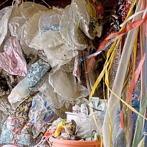 Foto Geographies Of Solitude