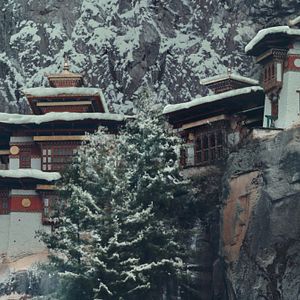 Foto O Menino e o Tigre