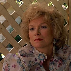 Foto Laços de Ternura