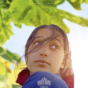 Foto À Sombra das Figueiras