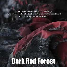 Foto Floresta Vermelho Escuro: Monjas Budistas no Tibet