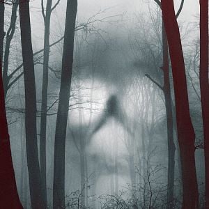 Foto 28 Dias Assombrados