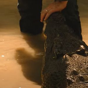 Foto Terra de Crocodilos