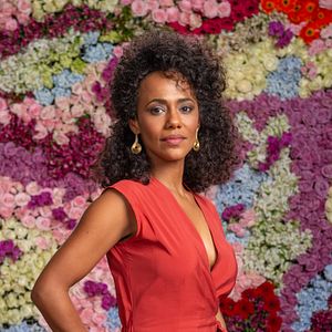 Foto Todas as Flores