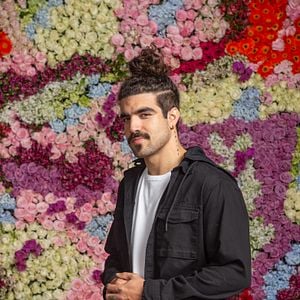 Foto Todas as Flores