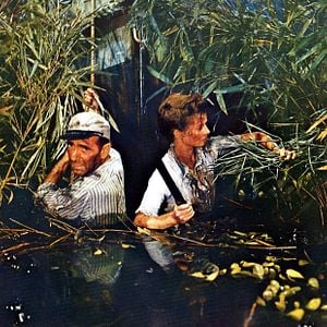 Foto Uma Aventura na África