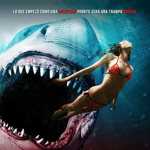 Foto Tubarão - Mar de Sangue