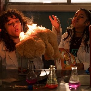 Foto A Flor Mais Bela