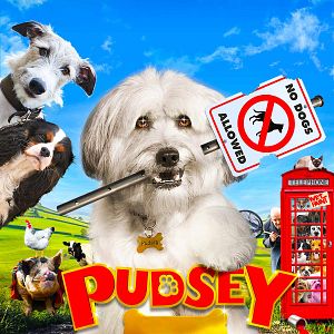 Foto Pudsey - Este Cão é um Herói!