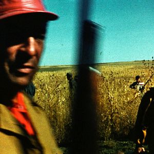 Foto American Journal