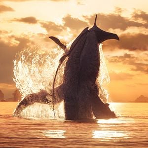 Foto Avatar: O Caminho da Água