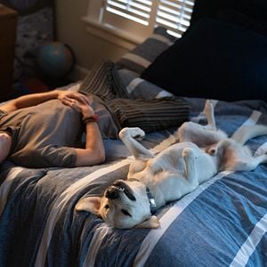 Foto Procura-se Gonker