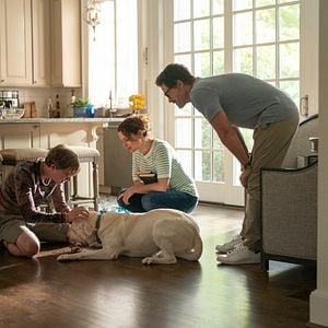 Foto Procura-se Gonker