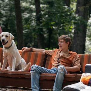 Foto Procura-se Gonker