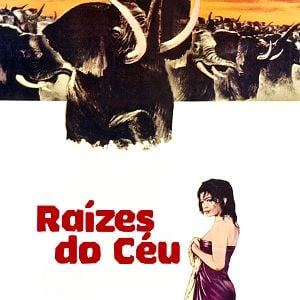 Foto Raízes do Céu