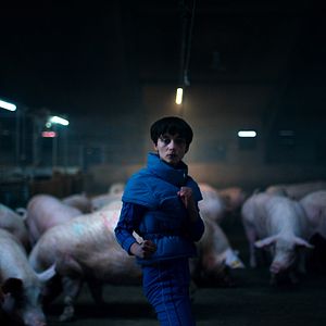 Foto Copenhagen Cowboy