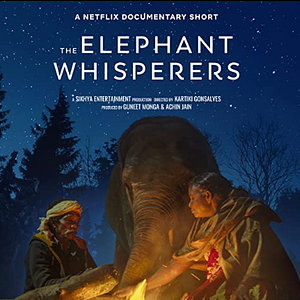 Foto Como Cuidar de um Bebê Elefante