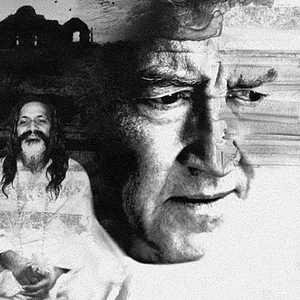 Foto Sombras Do Paraíso