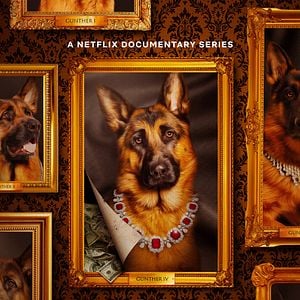 Foto Gunther: O Cachorro Milionário