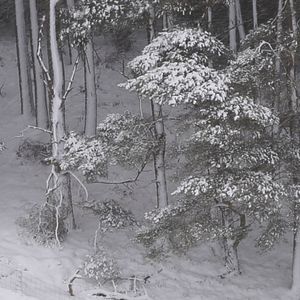 Foto A História do Olhar