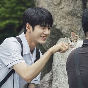 Foto Meus Dezoito Anos