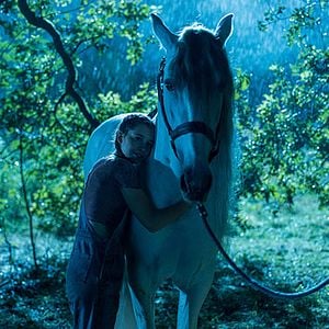 Foto Silverstar: Uma História de Amizade