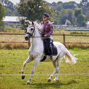 Foto Silverstar: Uma História de Amizade