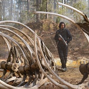 Foto 65: Ameaça Pré-Historica