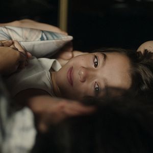 Foto 20.000 Espécies de Abelhas	