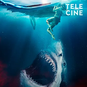 Foto The Requin - À Deriva