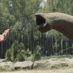 Foto Forms of Forgetting