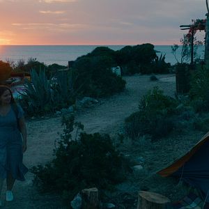 Foto Em Uma Ilha Bem Distante