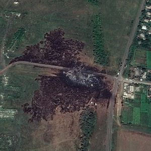 Foto Iron Butterflies