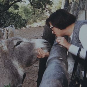 Foto El rostro de la medusa