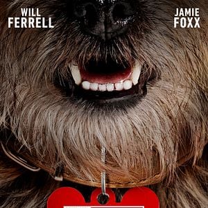 Foto Ruim pra Cachorro