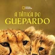 Foto A Tática do Guepardo