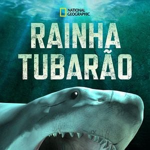 Foto Rainha Tubarão