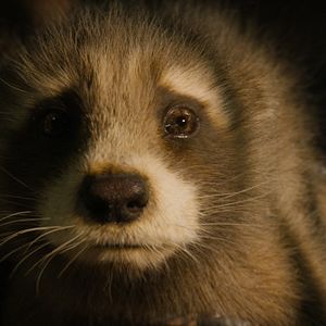 Foto Guardiões da Galáxia Vol. 3