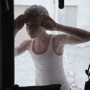 Foto The Properties of Metals