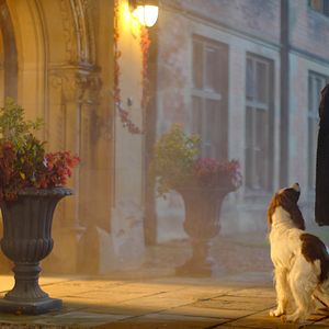 Foto The Eternal Daughter