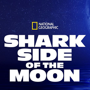 Foto Tubarões à Noite