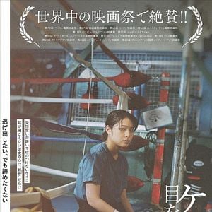 Foto Small, Slow but Steady