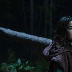 Foto 65: Ameaça Pré-Historica