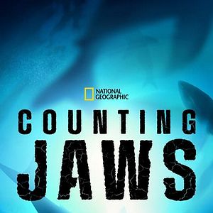 Foto Mandíbulas à Espreita